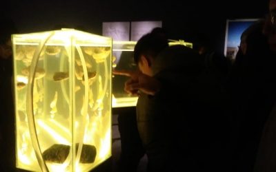 Salida pedagógica Artes