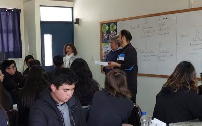 Información para las nuevas bases curriculares