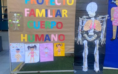 Actividad de los niños de Pre-kinder cuerpo humano