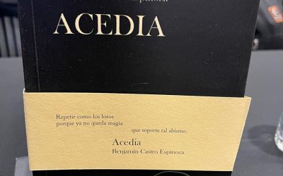 Lanzamiento libro de poesía Acedía