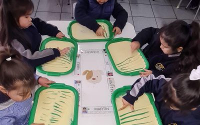 Trazo de líneas rectas.